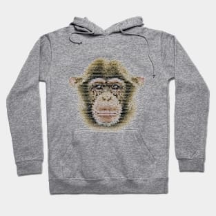 World Orangutan Day Hoodie